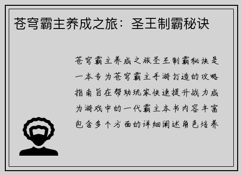 苍穹霸主养成之旅：圣王制霸秘诀